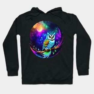 Moonlight Owl 1 Hoodie